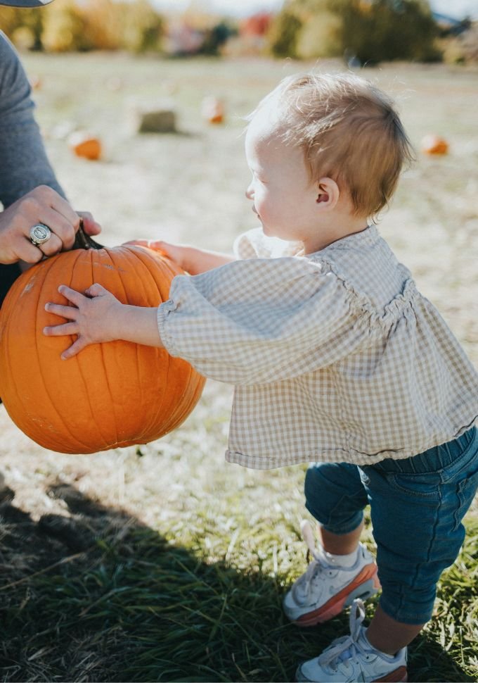 Pumpkin patch experience limavady www.roeparkresort.com