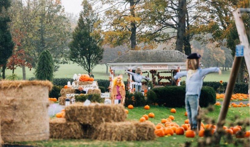 Rvr pumpkin patch www.roeparkresort.com